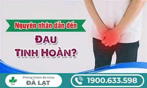 Hình ảnh minh họa